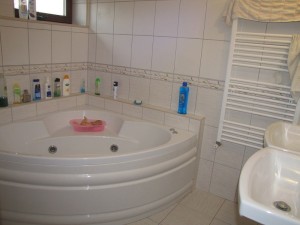 Vestavba nové koupelny v RD - Ytong